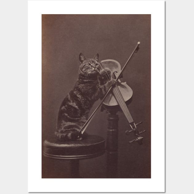 Cat on a Stool Playing a Violin Wall Art by jojobob